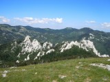 28. kukovi